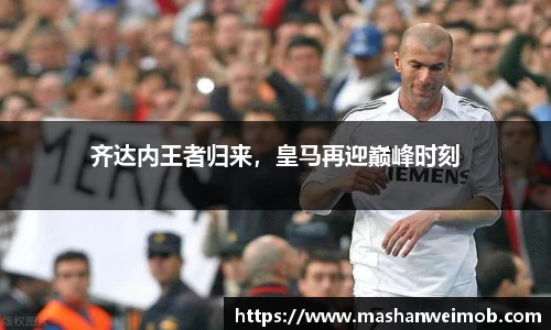 必博BIBO网址