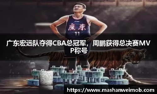 必博BIBO