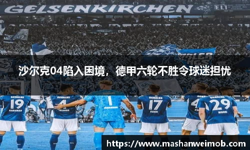 必博BIBO官网