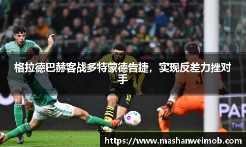 必博BIBO官网