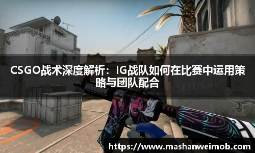 必博BIBO网址