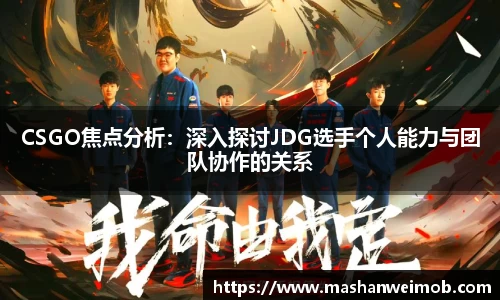 必博BIBO官网