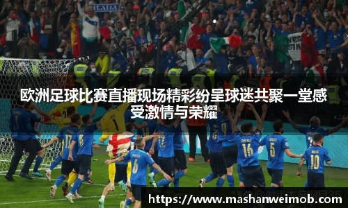 欧洲足球比赛直播现场精彩纷呈球迷共聚一堂感受激情与荣耀