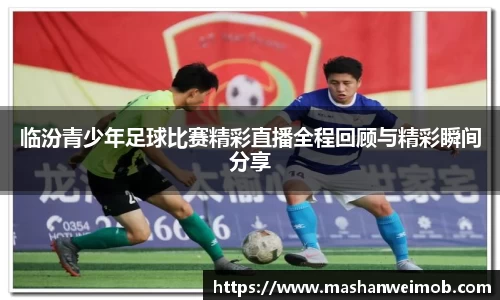 临汾青少年足球比赛精彩直播全程回顾与精彩瞬间分享